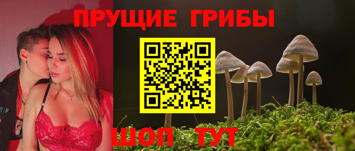 закладки  Вход с VPN  Псилоцибиновые грибы Psilocybe  Чайковский  Псилоцибиновые грибы мухоморы 